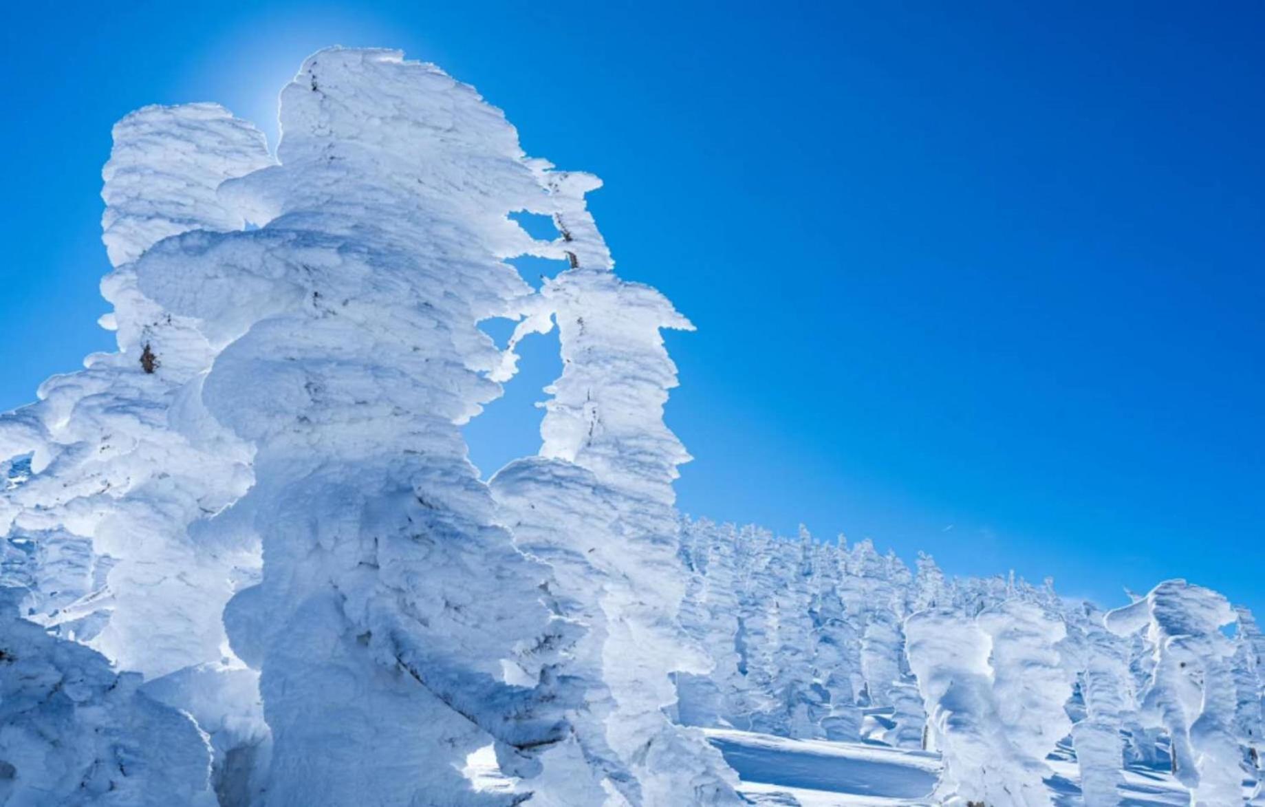 Snowfall Meteor 飛雪流星 上山市 エクステリア 写真